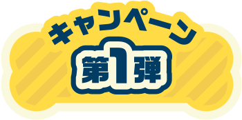 キャンペーン第1弾