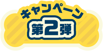 キャンペーン第2弾
