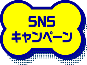 SNSキャンペーン